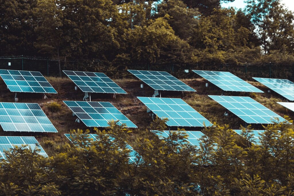 From Sunbeams to Watts: The Rising Prominence of Solar Energy